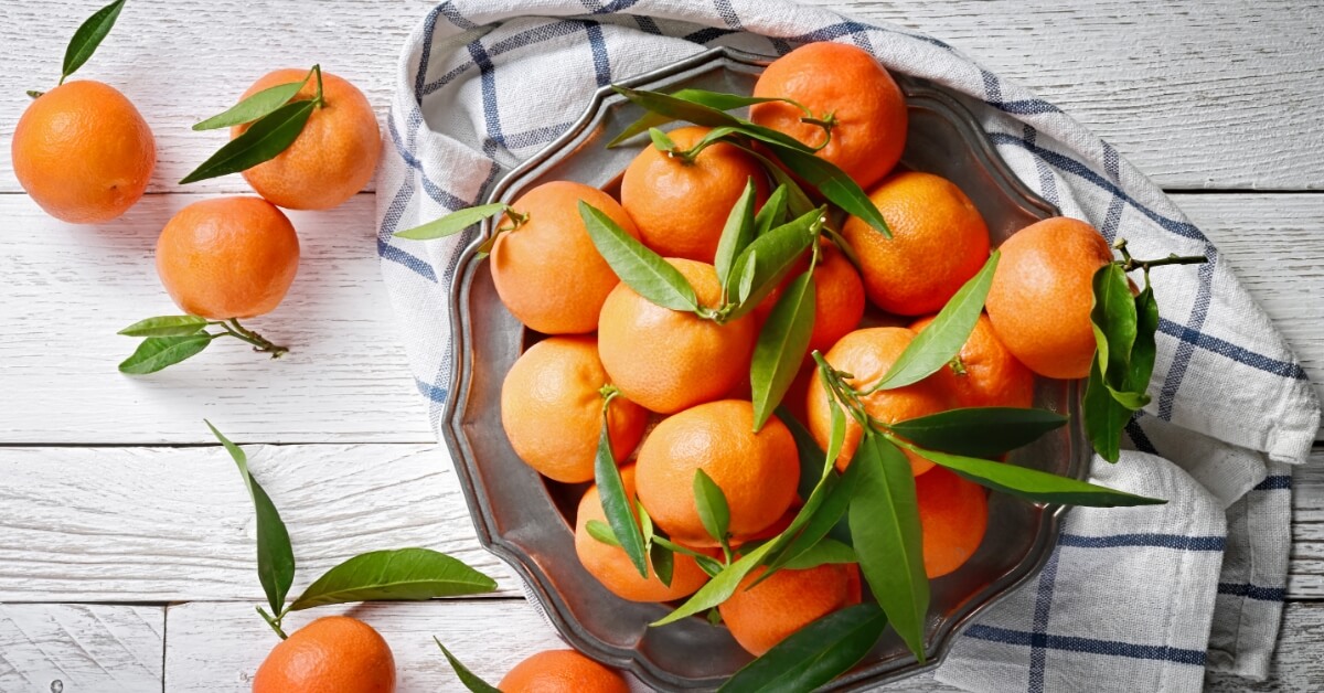Mandarini: storia, valori nutrizionali e usi casalinghi