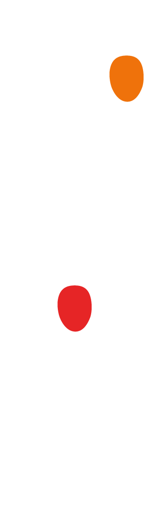 Decorazione video