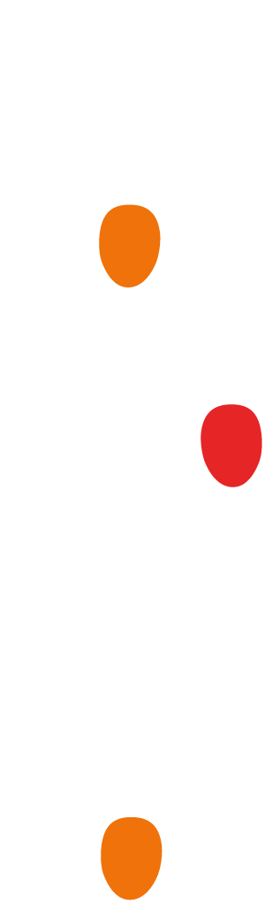 Decorazione video