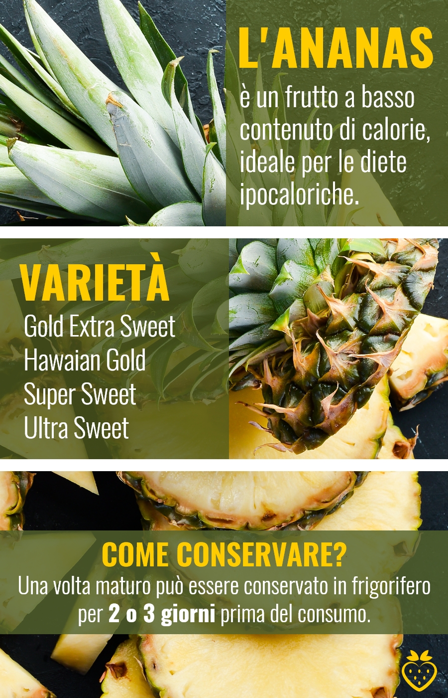 Effetti benefici dell'ananas: frutta fresca alle terme - Terme di