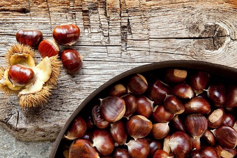 Castagne: proprietà, benefici e ricette 